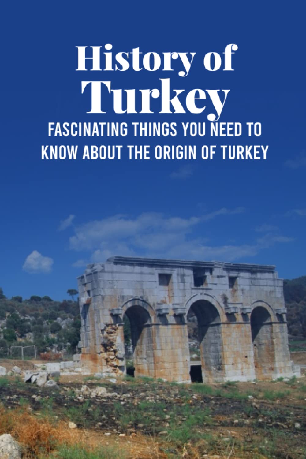 Buy History of Turkey Fascinating Things You Need To Know About The