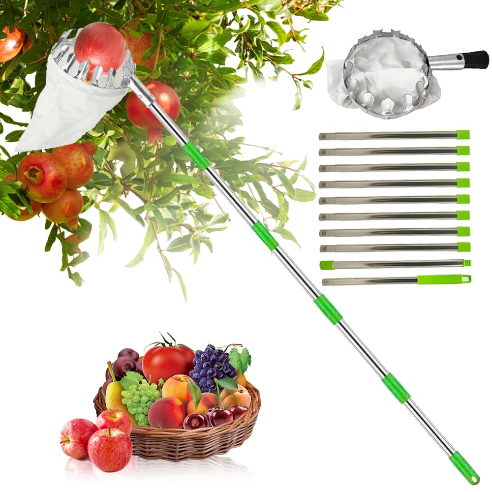 Raccolta di mele,Raccogli frutta telescopico,Raccogli fichi d'india,Raccoglitore di frutta,Raccogli frutta,Raccogli fichi telescopico,Raccogli Frutta con Palo in Acciaio Inox Leggero