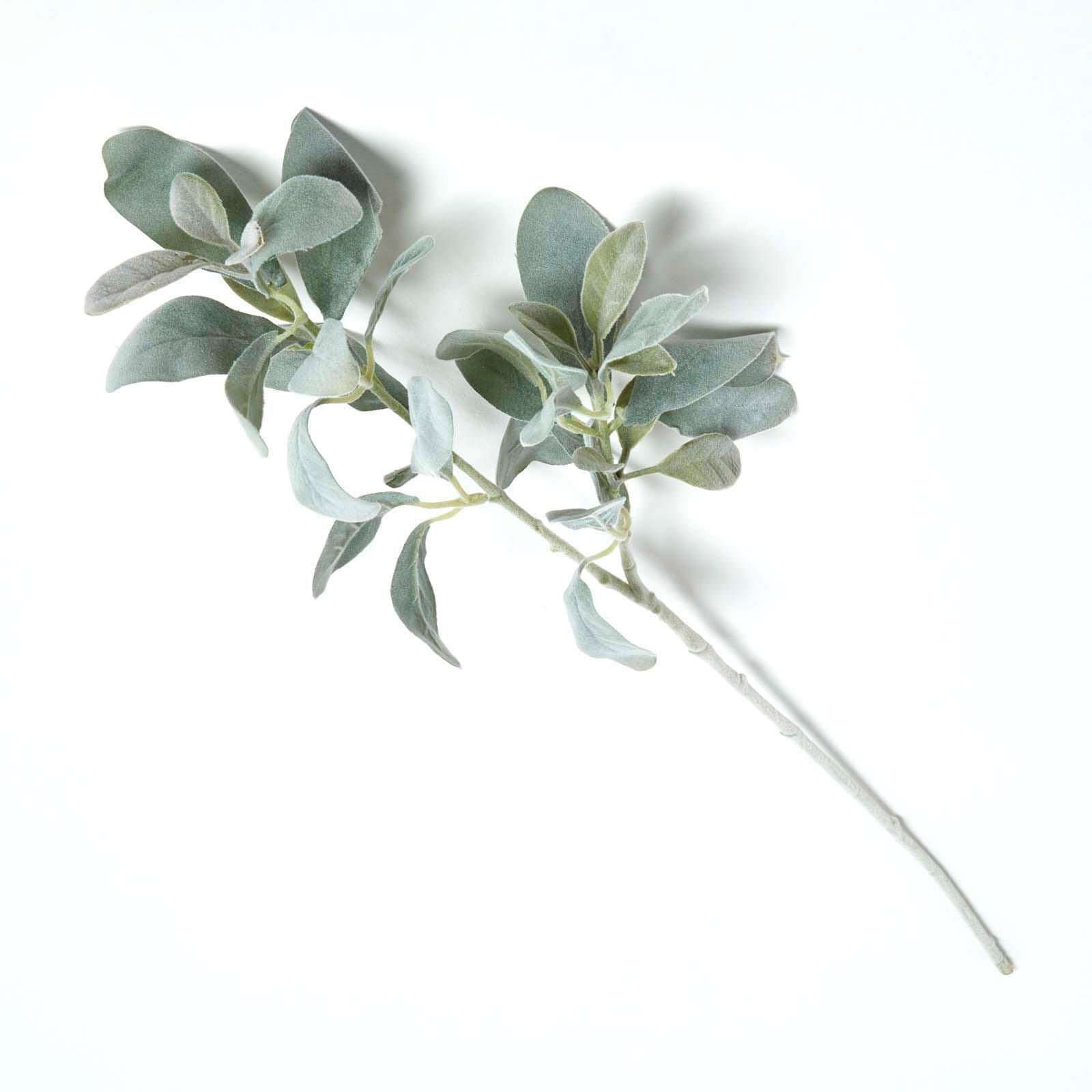 Homescapes Unisex Green Lambs Ear Foliage 70 Cm In