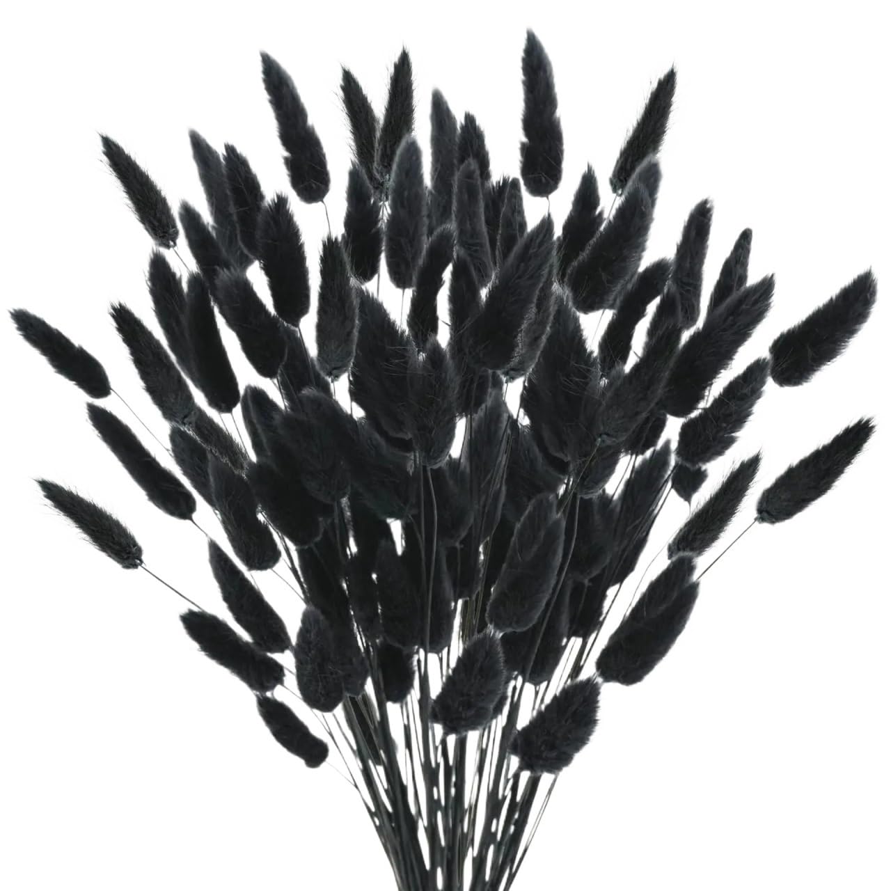 Dried Flowers Bouquet Natural， Fiori secchi bouquet naturale(Black,20Pcs)