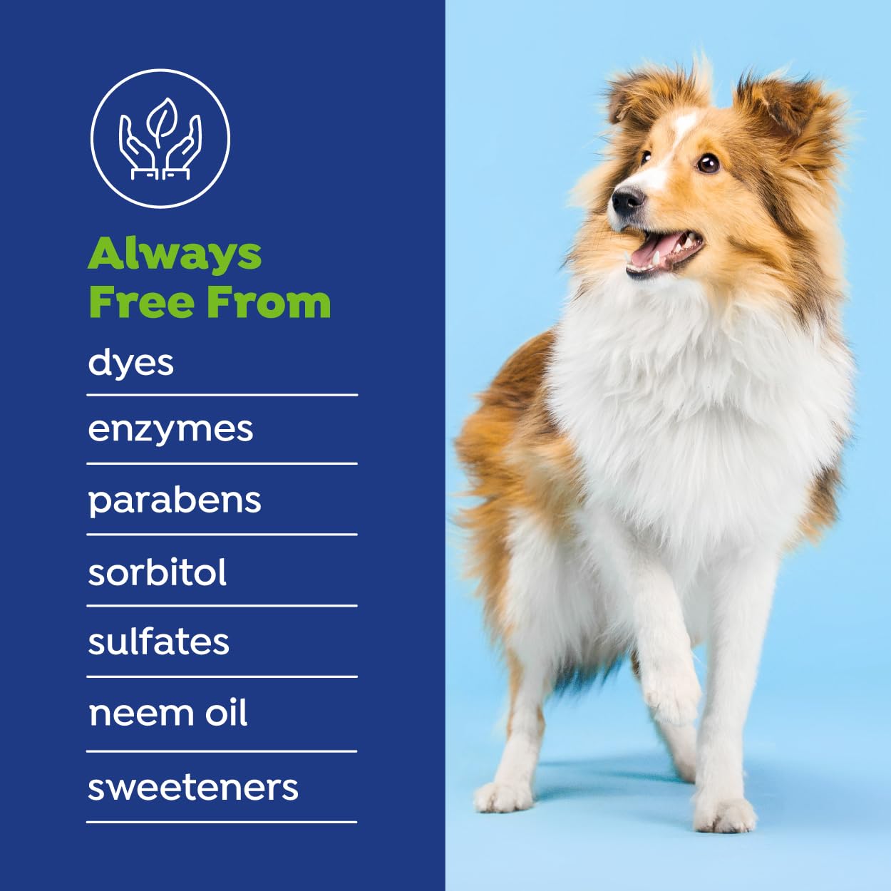 Naturel Promise Fresh Dental Water Additive for Dogs 2-Pack, 18oz Each — Hip & Joint with Teeth Cleaning Solution, Better Value for Daily Use - image 5