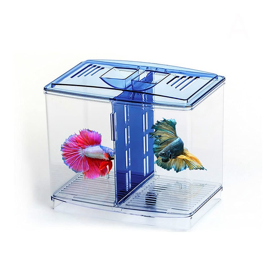 Buy WZHZJ Outtank Acrylic Fish Breeding Isolation Box Aquarium Breeder