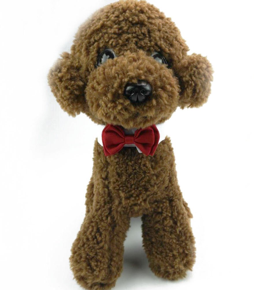 2 Pezzi Piccolo Cane Gatto Cotone Collare Regolabile Cravatta a Farfalla Animale Domestico Formale Bowknot (S)