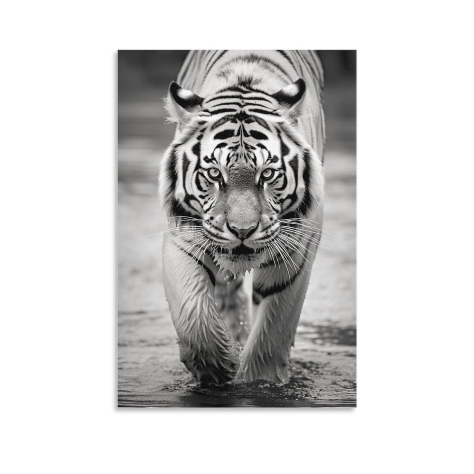 AYAROS Tiger Animals Painting Poster Wildlife Animal Picture Canvas Wall Art Prints Painting for House Room Unframed 08x12 inch