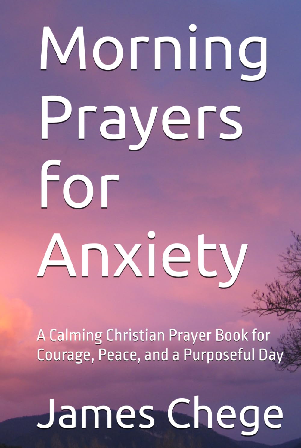 Morning Prayers for Anxiety: A Calming Christian Prayer Book for Courage, Peace, and a Purposeful Day (Night Prayers)