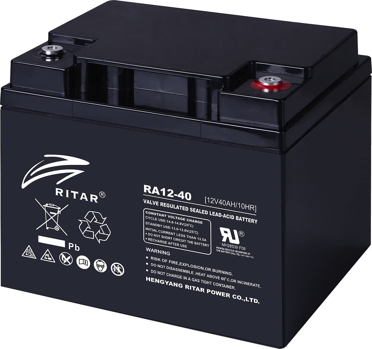 revolt Akku Solar: 60-Watt-Solarpanel mit PWM-Laderegler und Blei-Akku, 480 Wh, 30 A (PV Anlage, Solaranlage 12V, Set)