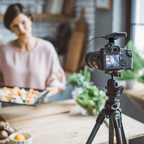 Miniatura 9 de PHILIPS DVT7110 Voicetracer digital