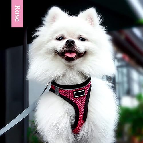 Miniatura 7 de Juego de arnés y correa para caminar, transpirable, ligera, de malla suave, fácil de poner, para cachorros, gatos, arnés reflectante y ajustable, a