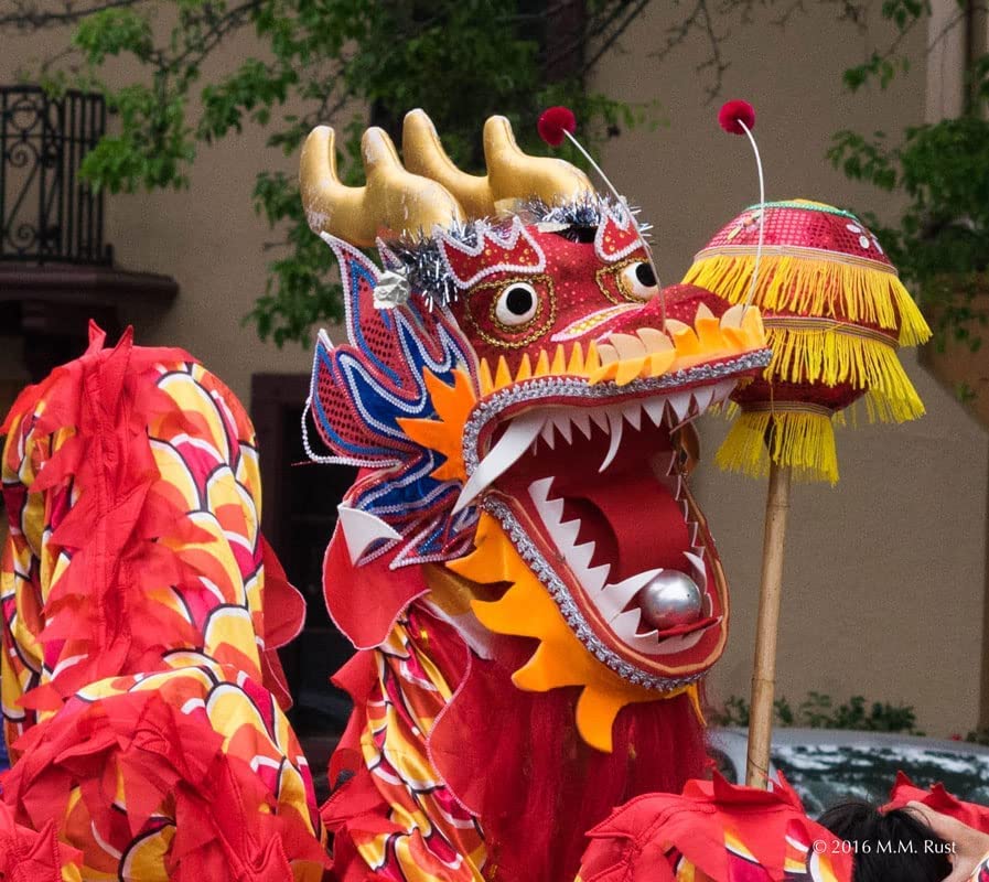 Amazon.com: Roedax Dragon Dance Silk Dragon Dance10m 8 People Lion
