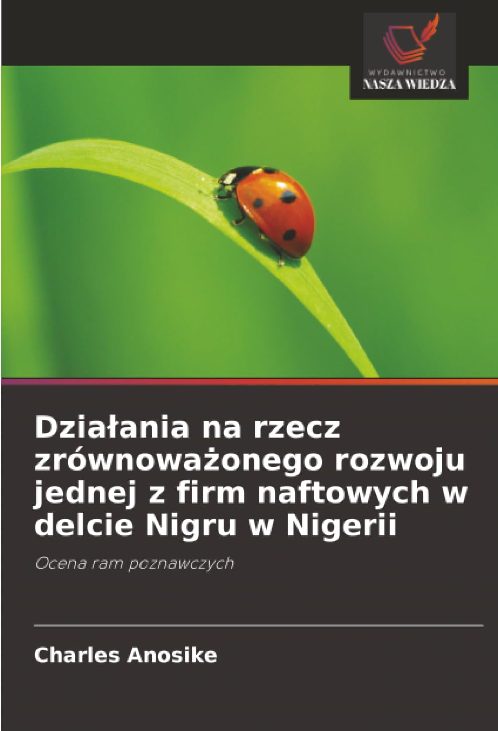 Działania na rzecz zrównoważonego rozwoju jednej z firm naftowych w delcie Nigru w Nigerii: Ocena ram poznawczych