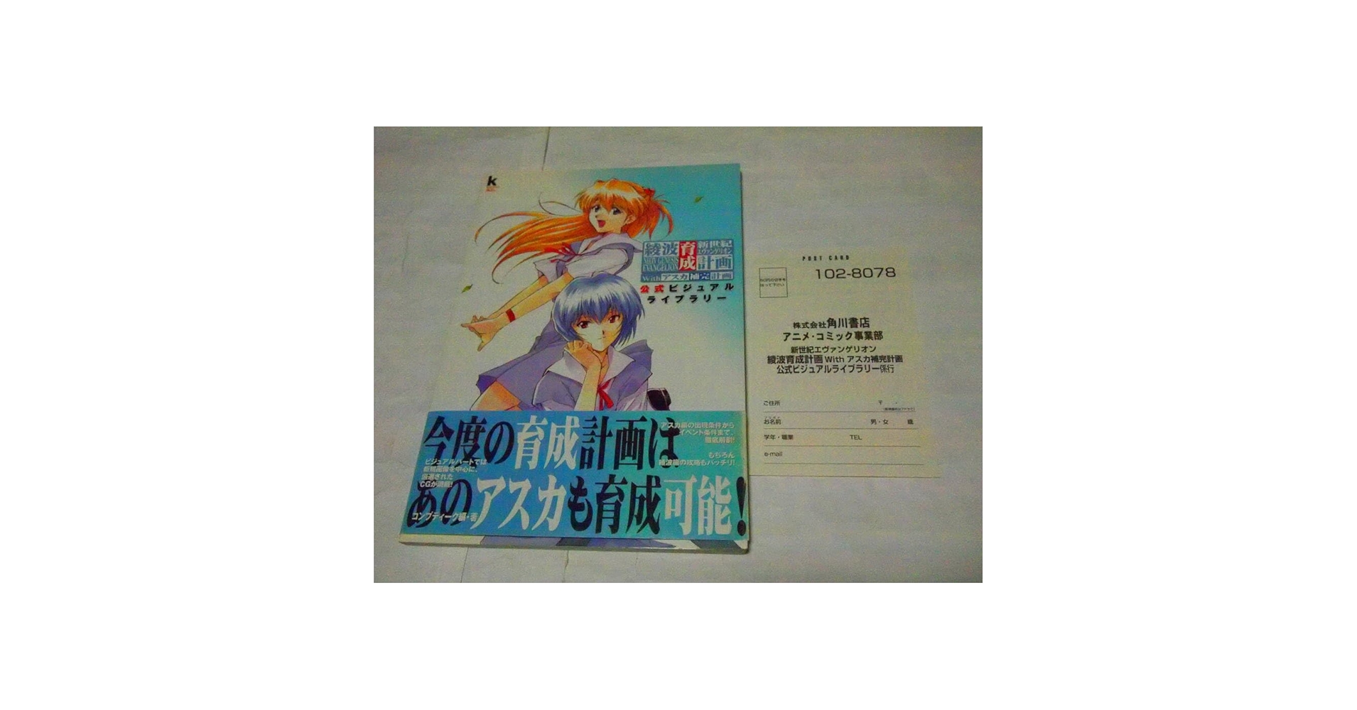 Amazon.co.jp: 大型本 ゲーム 攻略 新世紀 エヴァンゲリオン