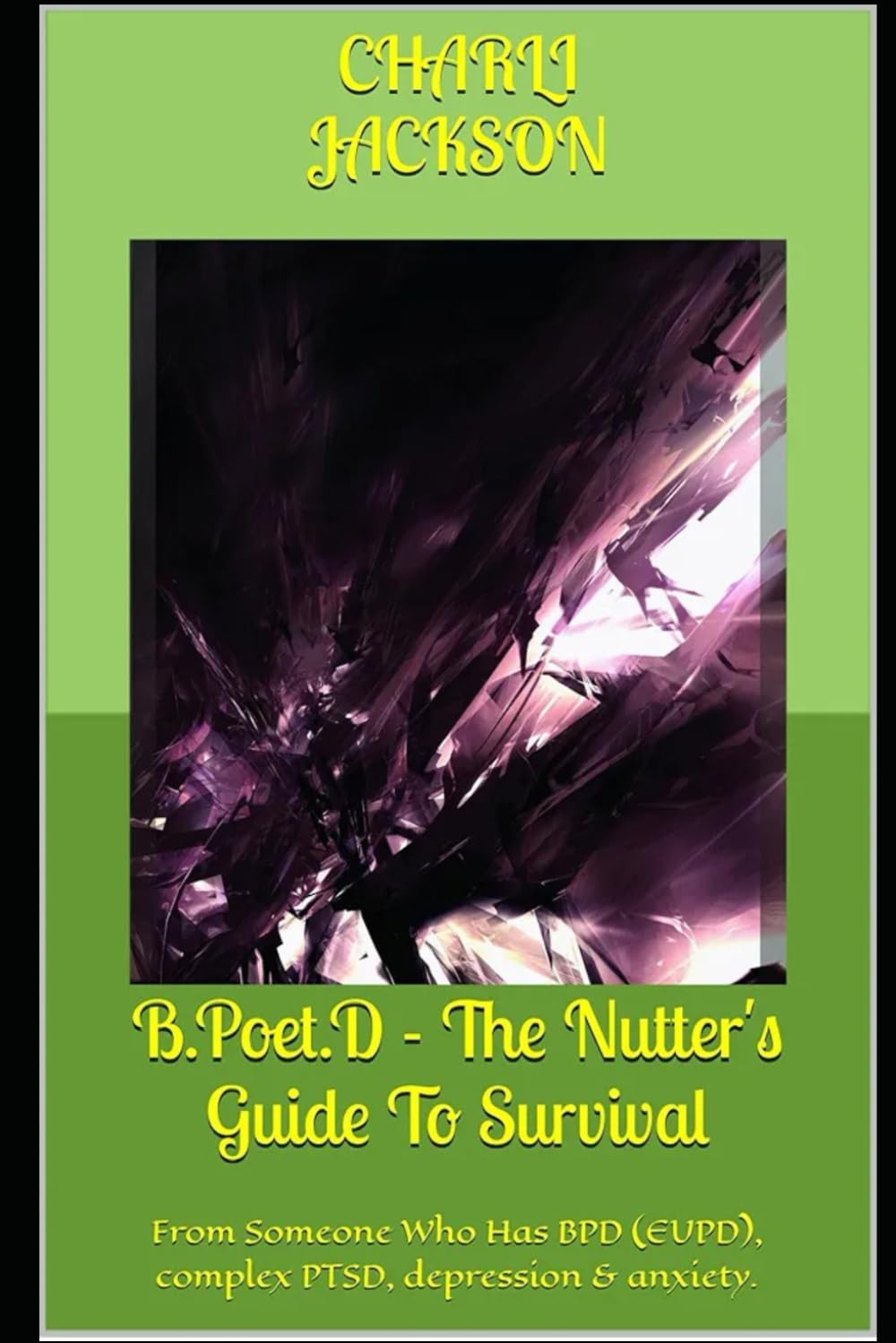 B.Poet.D - The Nutter's Guide To Survival: From Someone Who Has BPD (EUPD), complex PTSD, depression & anxiety.
