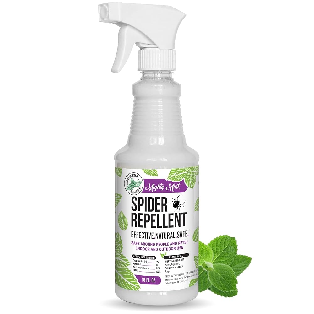 Peppermint plant mint spider deterrent