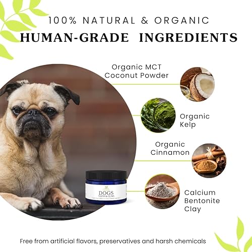 Miniatura 4 de Isabella's Clearly Dientes y encías para perros | Polvo de limpieza dental natural | Alternativa de pasta de dientes para perros sin enjuague con