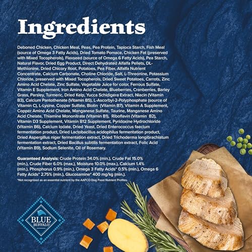 Blue Buffalo Wilderness Adult Hochprotein-Trockenfutter für Hunde mit echtem Huhn, getreidefrei, natürlichen Inhaltsstoffen, Huhn, 10,9 kg Beutel