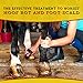 Dr. Naylor Hoof 'N Heal, Hoof Rot Foot Rot Wound Care, 16oz, Sheep Goat Cow Horse, 1-pack