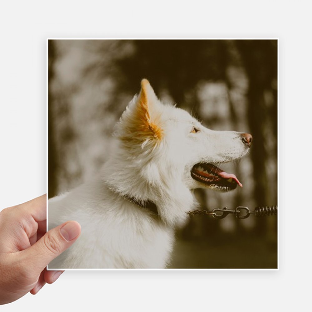 Pegatinas de perro blanco vinilos decorativos de 20cm para moto pared y maleta