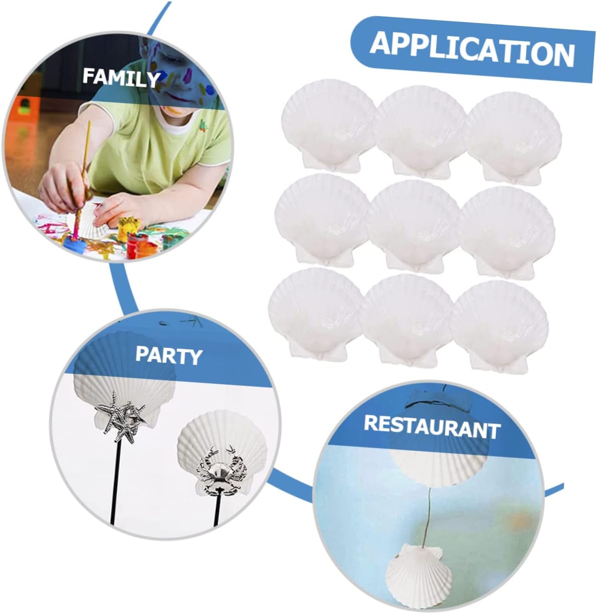 9pcs Natural Serving Plates Unique Appetizer Trays for Bbq Parties Versatile Shell Dish Decor for Culinary Treats Jewelry Display for Craft Home Decoration