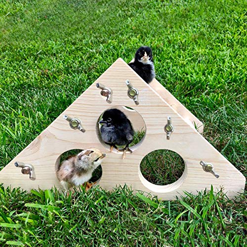 Image of Chicken Perch Wood Stand with Holes Chick Stand Trainning Perch Hen Roost bar for Chicks Poultry Swing Jungle Gym Chicken Toy for Hens