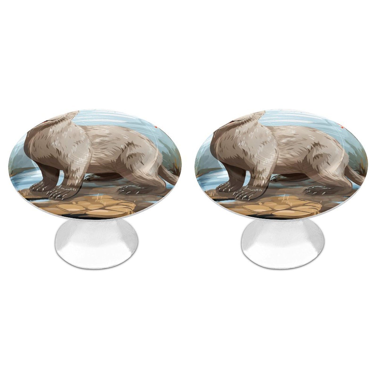 Vstadank Style Otter Drawer Knob Nice Bathroom Cabinet Knob Round Cabinet Pull Stainless Steel Cabinet Handle Circle Drawer Handle Modern Drawer Pull For Wardrobe Cupboard 2 Pcs