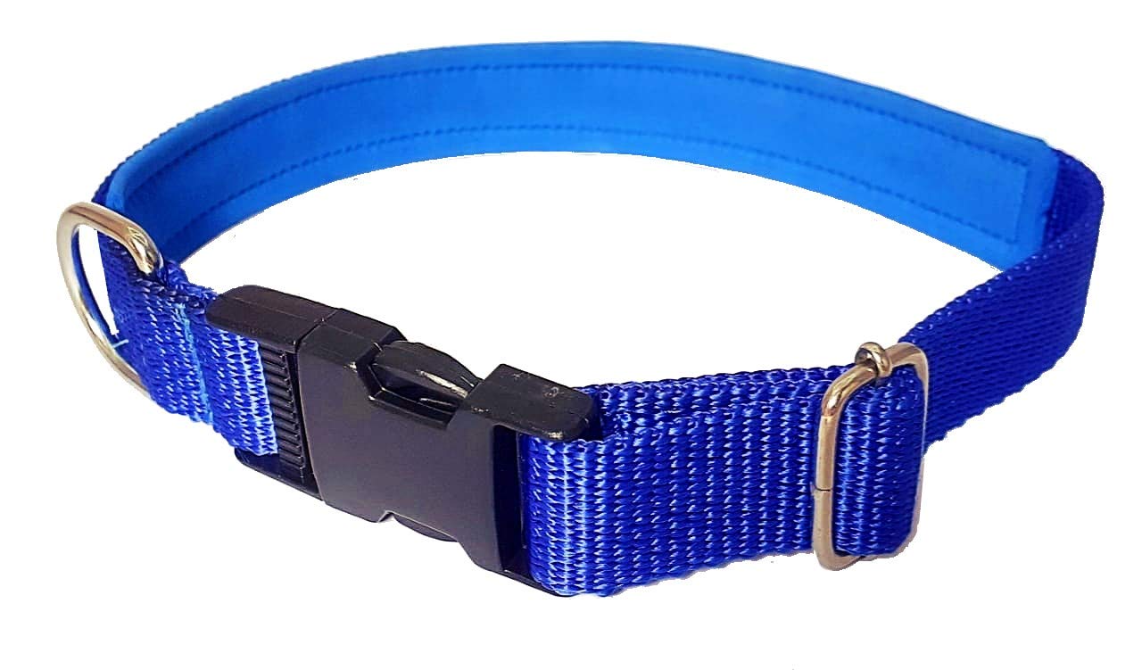 Petley Pure Nylon Plastic-Buckle Tik-Tak Dog Collar with Ultra-Soft Comfortable Padding Inside, Suitable for Large Dogs German Shephard, Boxer, Golden Retriever, Labrador Retriever, Rottweiler, Dalmatian, Doberman (Blue) (B08C7VN2XF) Amazon Price History, Amazon Price Tracker