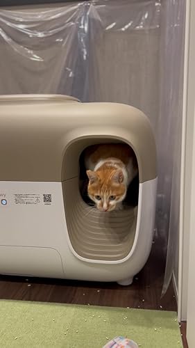 Amazon | PetSnowy「BASIC」猫 トイレ自動,全自動猫トイレ 自動清掃