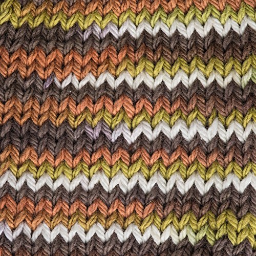 Image of Lily Sugar'n Cream Cotton Cone Yarn, 14 oz, Woodland Trail Ombre, 1 Cone