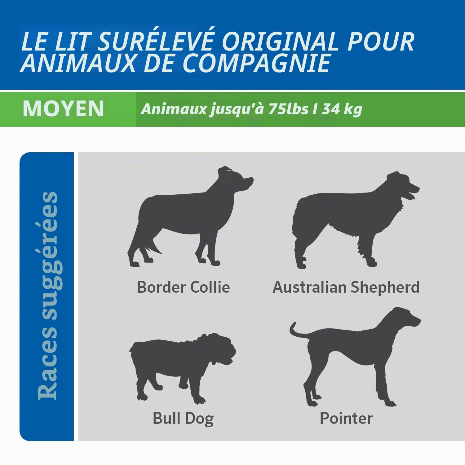 Coolaroo The Original Lit surélevé rafraîchissant pour Chien, intérieur et extérieur, Taille M, Gris Acier