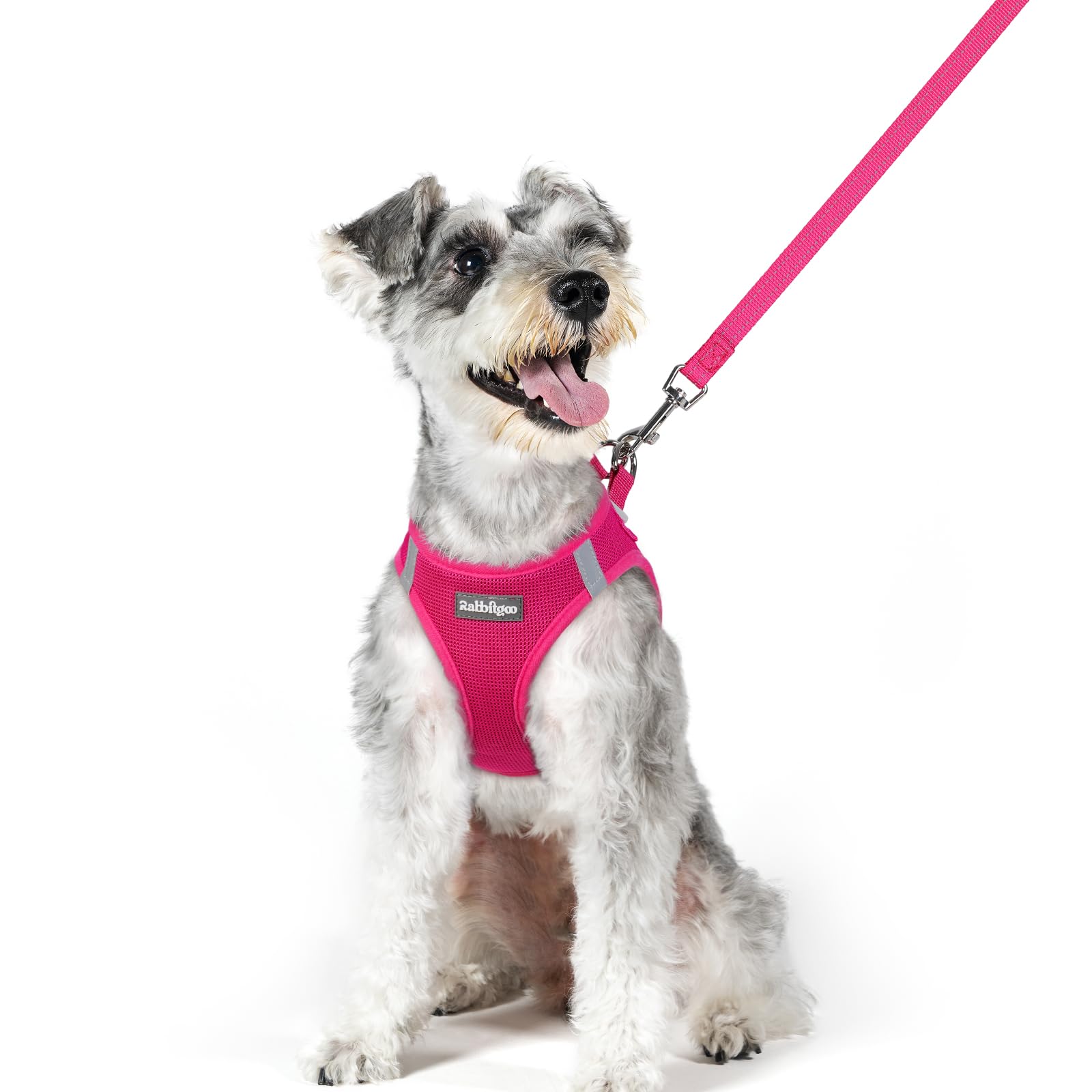 rabbitgoo Dog Harness Medium Sized and Leash Set, Step-in Puppy Pet Vest