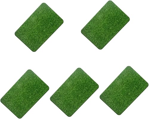 5 tapetes para puerta al aire libre para mascotas, tapete de bienvenida para entrada, pasto para puerta delantera, tapete para mascotas, tapete de