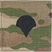SV-204, Specialist Four (E-4) SPEC 4,Multicam Rank w/Fastener #163871