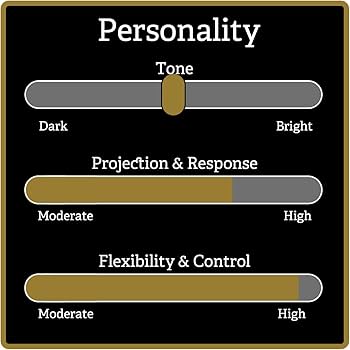 Amazon | Rovner リガチャー VERSA ソプラノサクソフォン用 V-1RVS