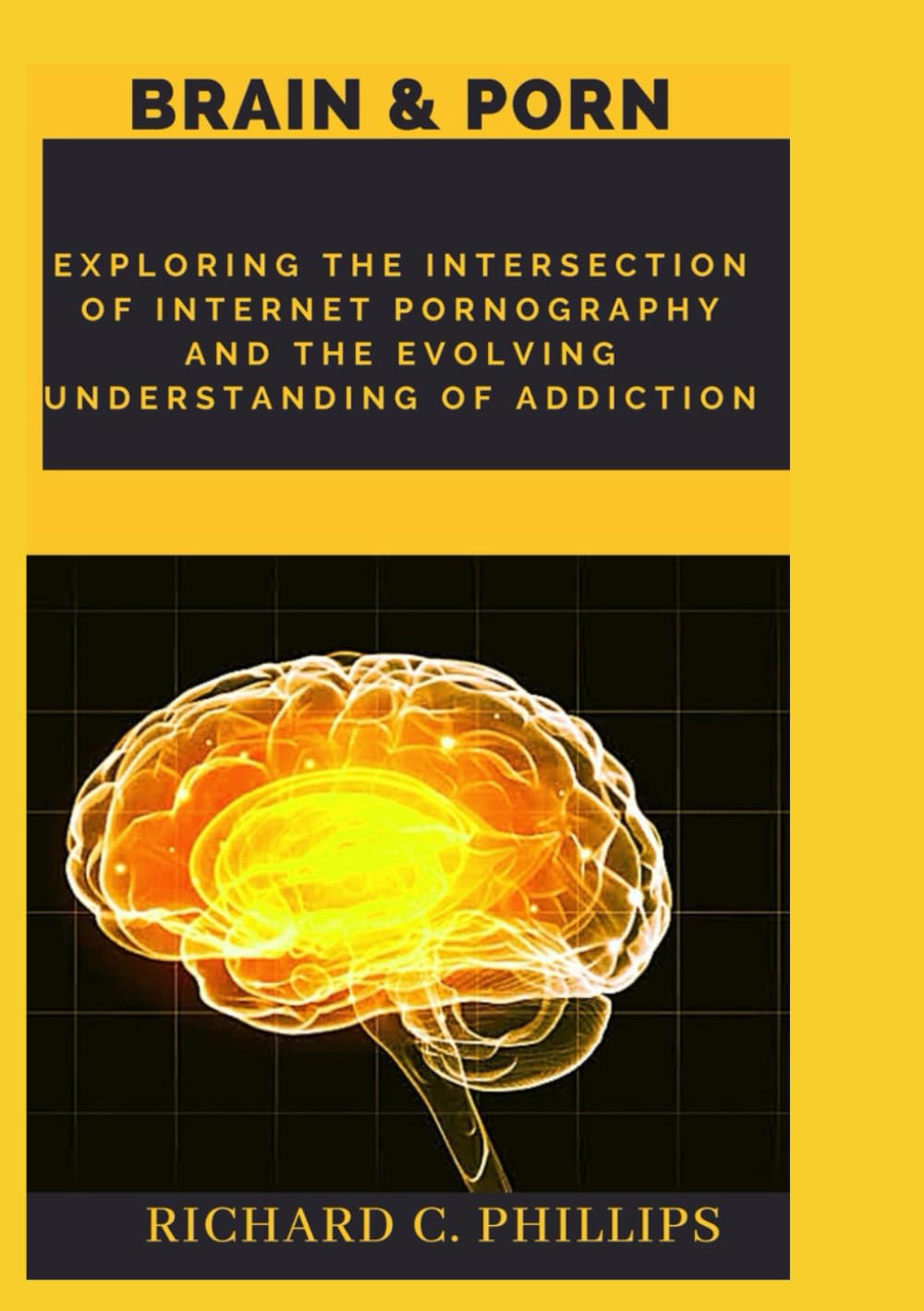 Brain & porn: Exploring the Intersection of Internet pornography and the Evolving Understanding of addiction
