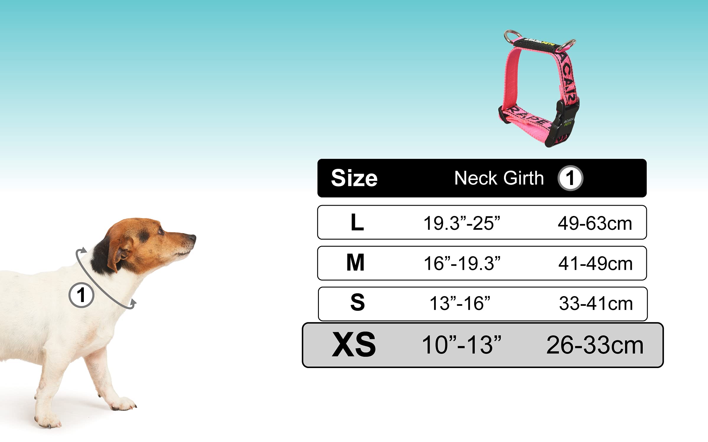 Amazon.com: Collar de perro con 2 anillos de fijación de