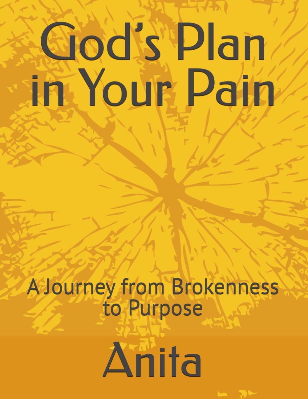 God’s Plan in Your Pain: A Journey from Brokenness to Purpose