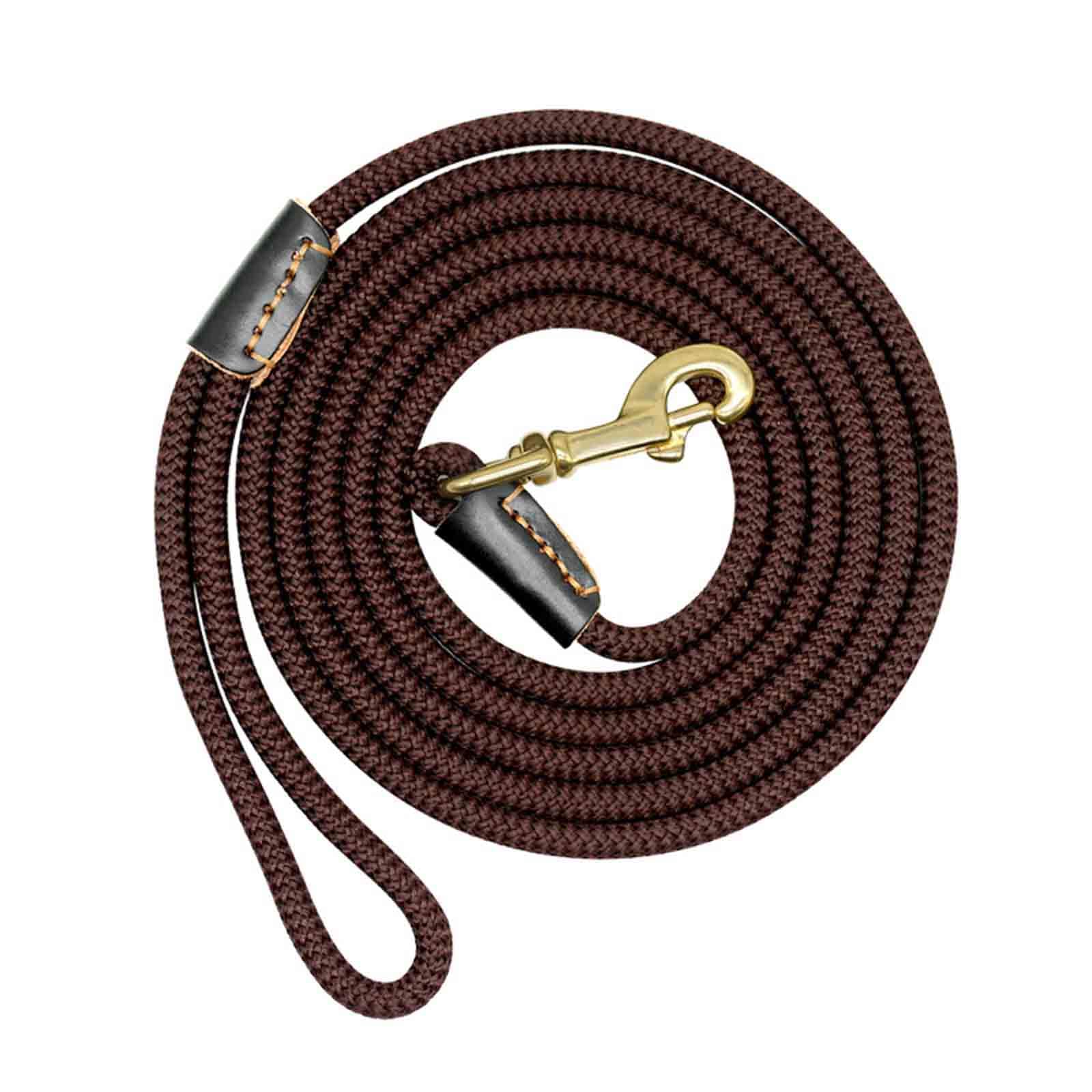 JUSHZ Correa Perro Arneses Tipo Extensible Grande Larga Adiestramiento Correa para Perros Correr Cordón Gancho Y Bucle Nailon Resistente Al Desgaste Que Soporta Carga (5m,Brown)