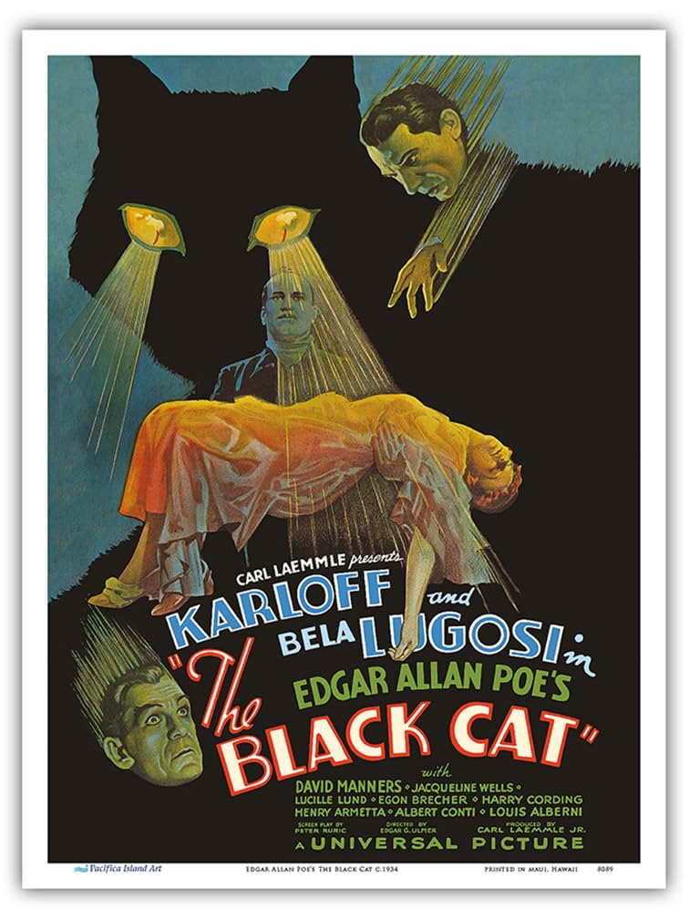 Amazon.co.jp: エドガー・アラン・ポーの「ブラック・キャット 