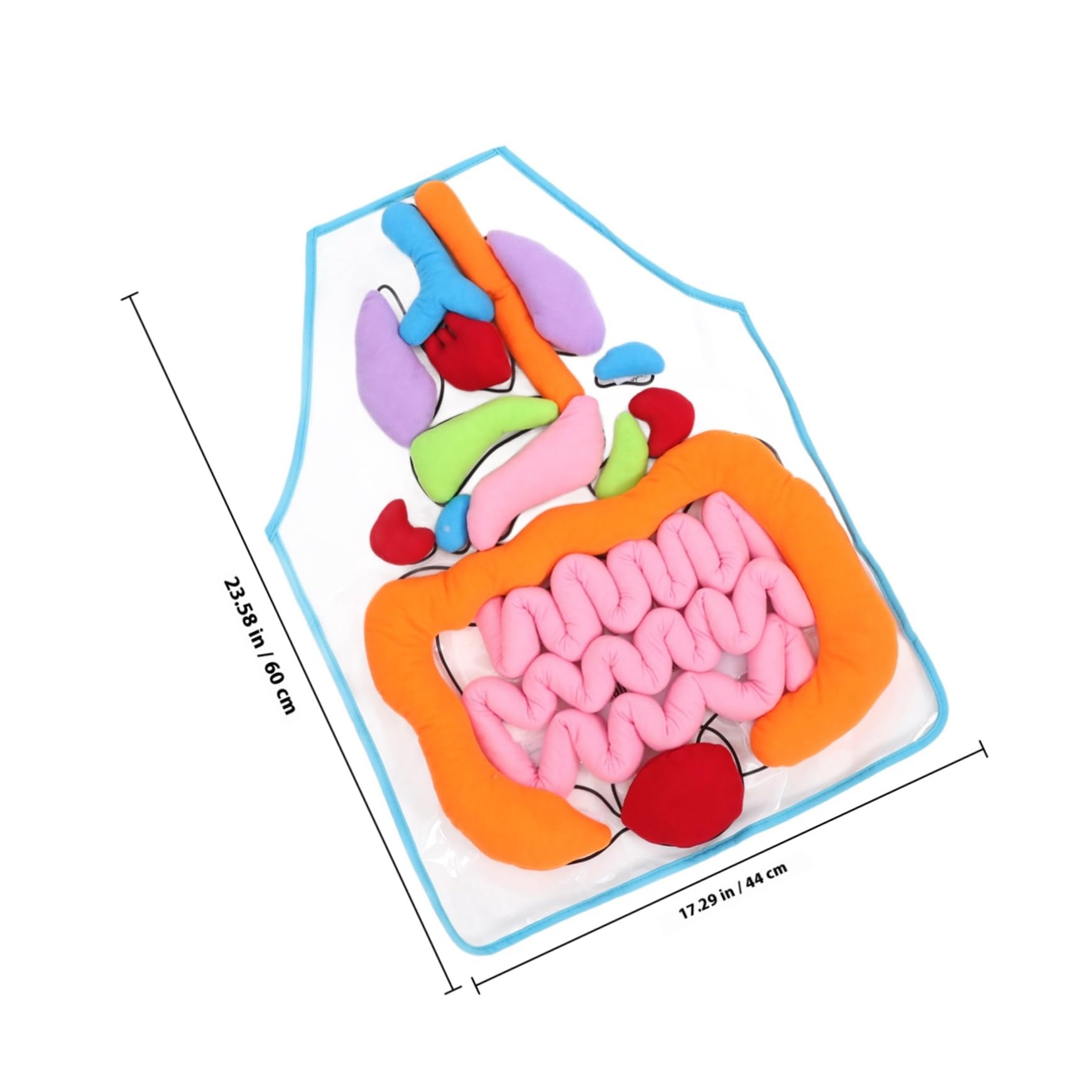 Uonlytech Delantal Educativo en 3D Material Didáctico de Poliéster y Felpa de Órganos del Cuerpo Humano para Niños Adecuado para Jardín de Infancia y Aprendizaje en Casa