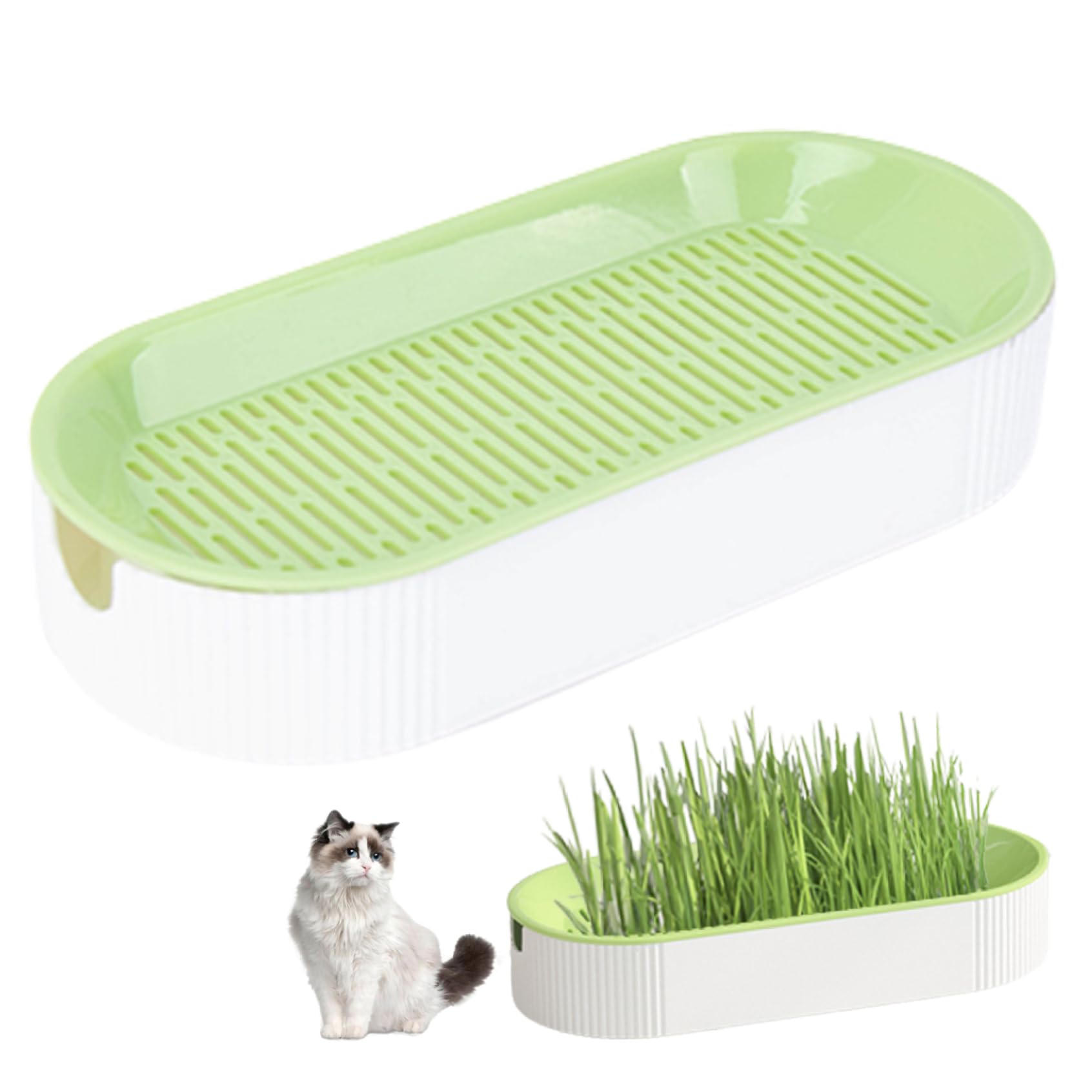 CNAFGBGG Nursery Pot Self Watering Cat Grass Planting Container Soilless Pots Window Planting Box Hydroponic Planter Nursery Box for Kitten(No Grass).