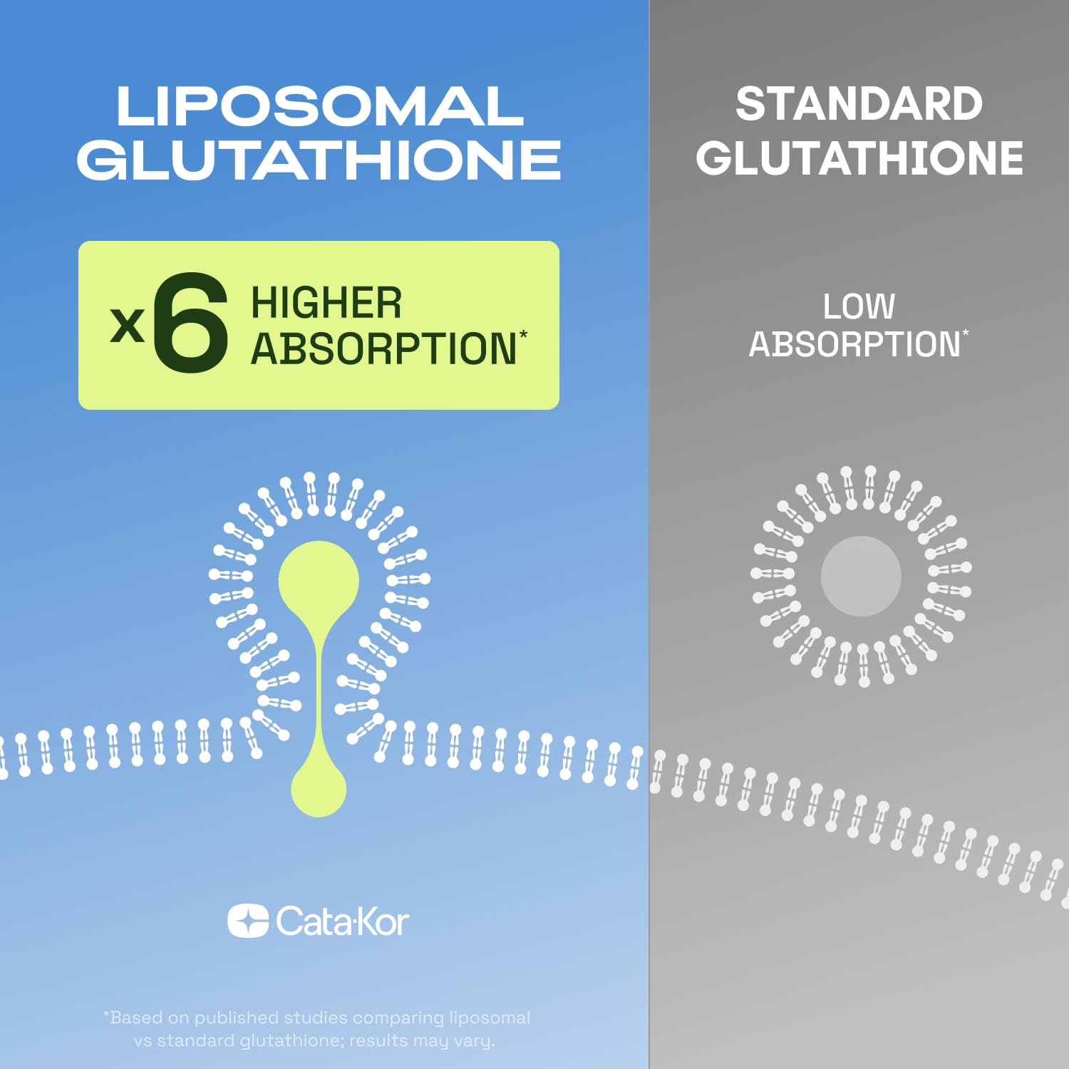 Cata-Kor Liposomal Glutathione & Resveratrol – Ultra High Absorption with Vitamin C, Selenium & Vitamin B2 (60 Count (Pack of 1)) : Health & Household