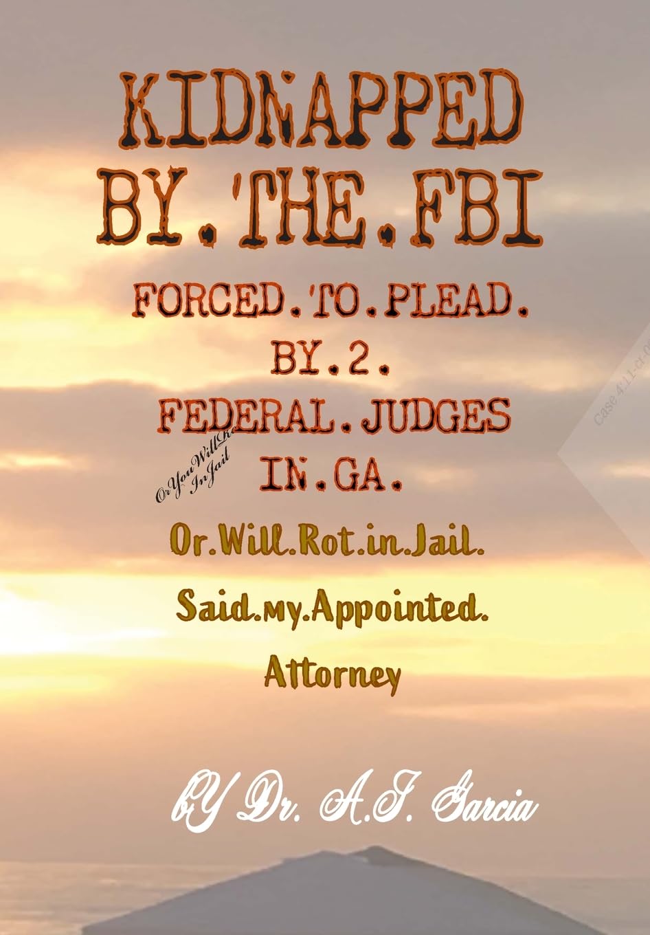 KIDNAPPED BY THE FBI: Forced to plead Guilty by 2 Federal Judges in GA, or Will Rot in Jail, said my Appointed Attorney
