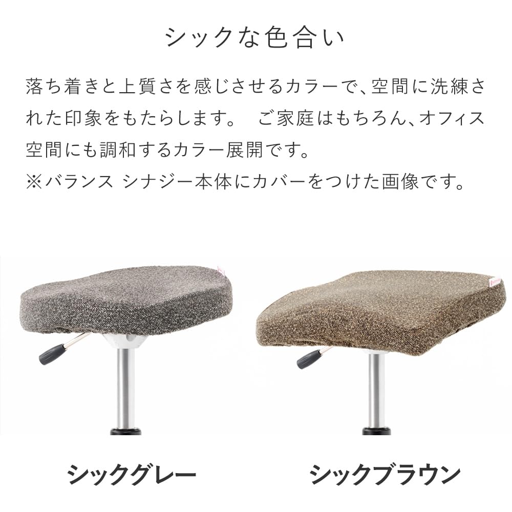 Amazon｜バランスラボ バランスシナジー専用 シックカバー クッション