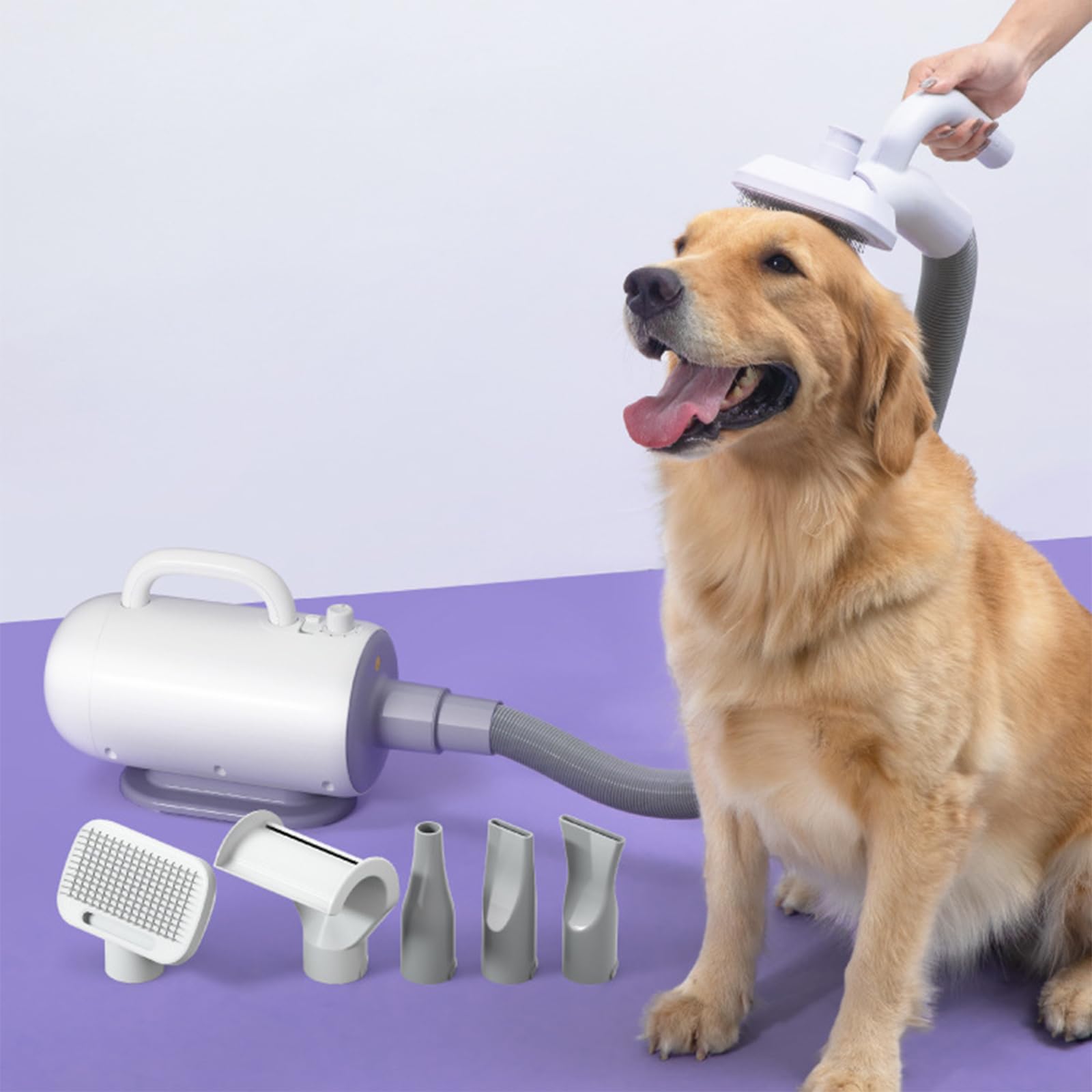 SèChe-Cheveux Professionnel Pour Poils De Chien,Souffleur De Poils D'Animaux 2000w Pour Chiens Et Chats,Aspirateur Silencieux,Haute Vitesse,5 Embouts DifféRents,SèChe-Cheveux Chats(34.9*15*23cm,White)