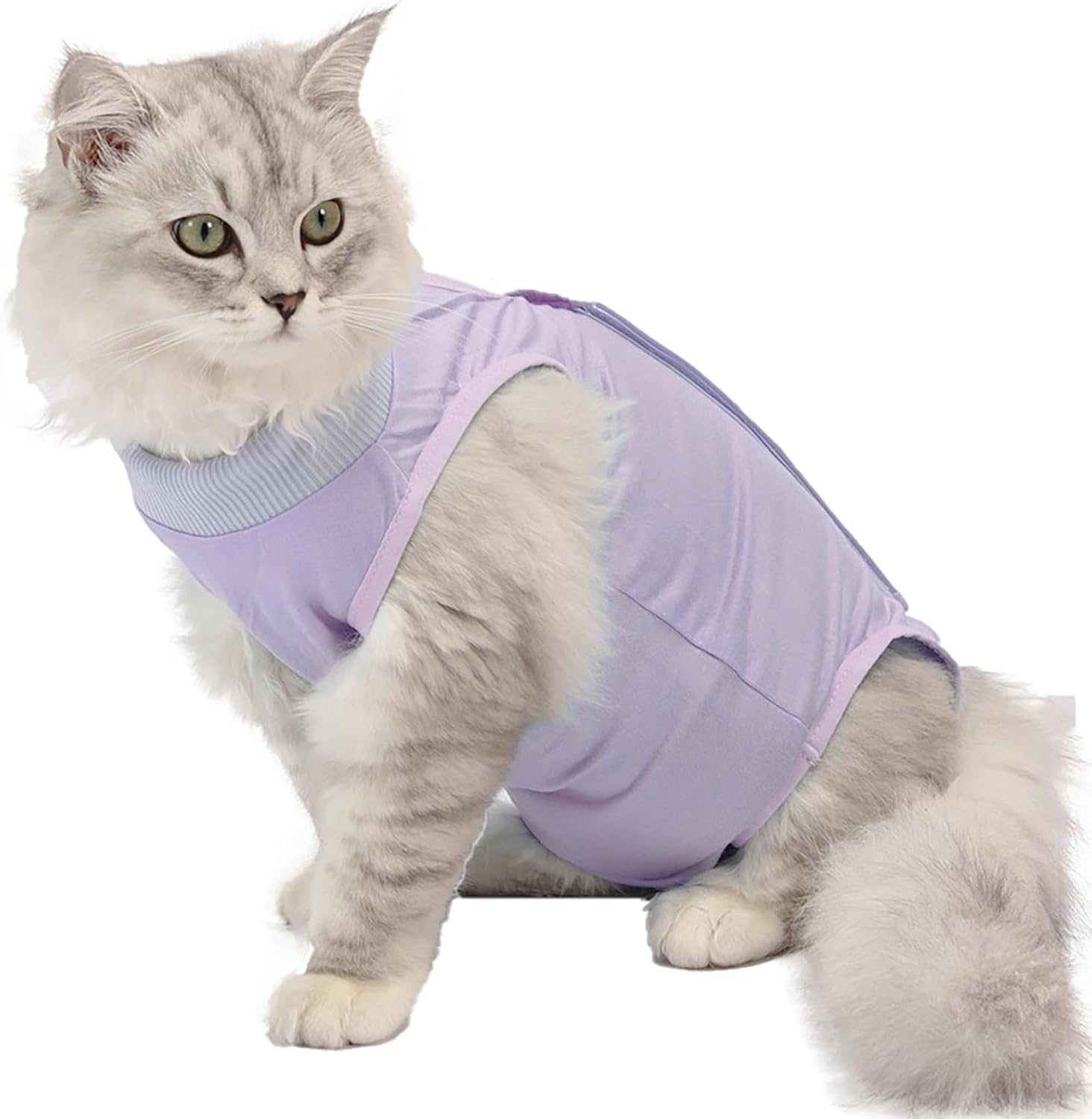 Www quyon com porno Dachadagi qizlar, shaxsiy fotosurat