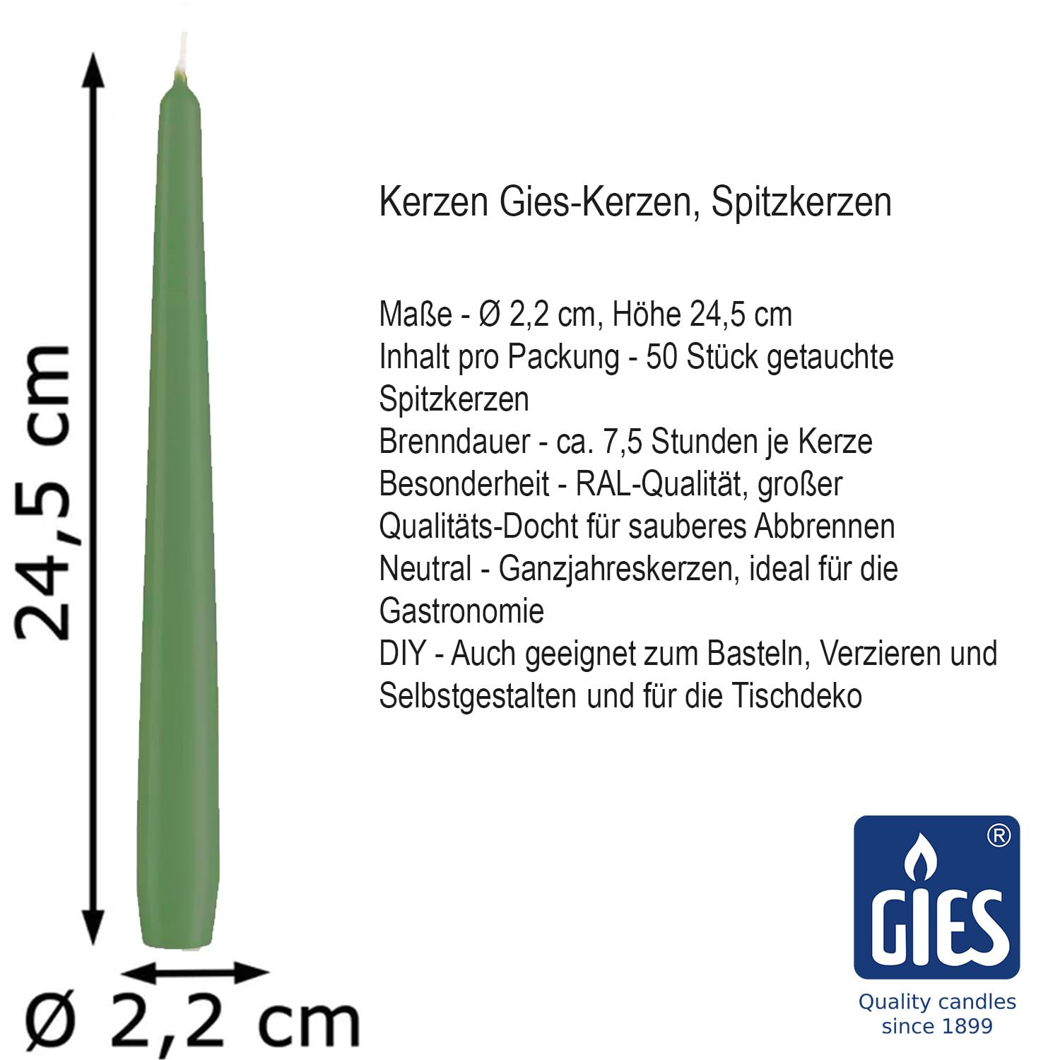 Gies Lot 50 Bougies Coniques Vert Sauge 2,35 X 24,5 Cm - 7 Heures Combustion - Qualité Restauration