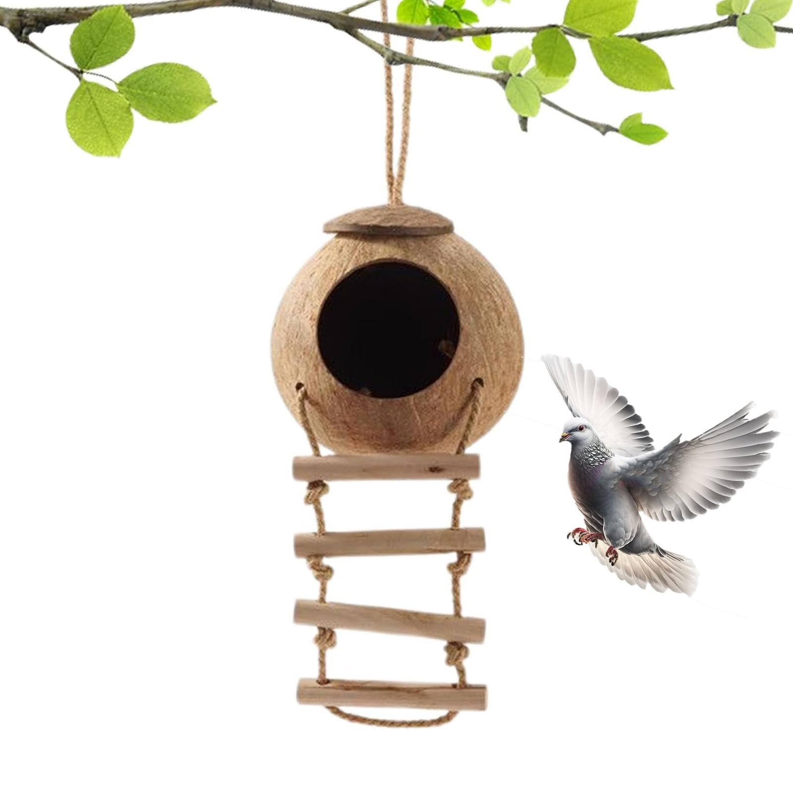 Nido di Cocco per Uccelli, Uccelli in Cocco Nido Decorativo, Nido di Noce di Cocco per Uccelli, per Uccelli in Stile Scala, Resistente Alle Intemperie per Piccoli Uccelli, Rettili, Amanti Del Giardino