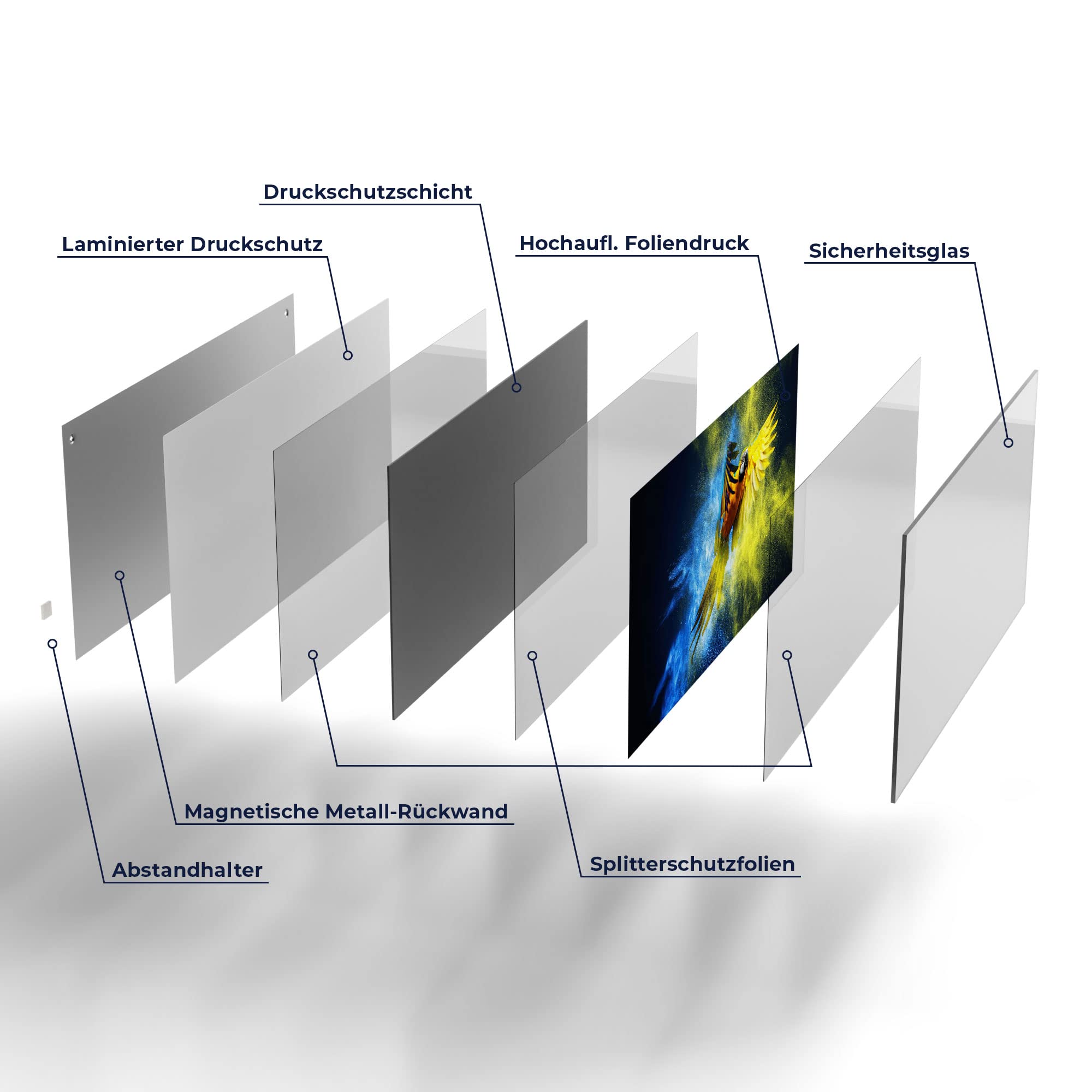 DEQORI Glas-Magnettafel | 100x50 cm groß | Motiv Papagei in Farbwolke | Memo-Board aus Glas | Magnetboard inkl. Magnete, Stift & Tuch für Küche & Büro | Tafel magnetisch & beschreibbar