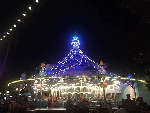 Miniatura 4 de Everfit Lighting - Luces pequeñas de Navidad, serie para exteriores, para patio, jardín, fiestas y decoración de temporada, 50 luces LED, cable