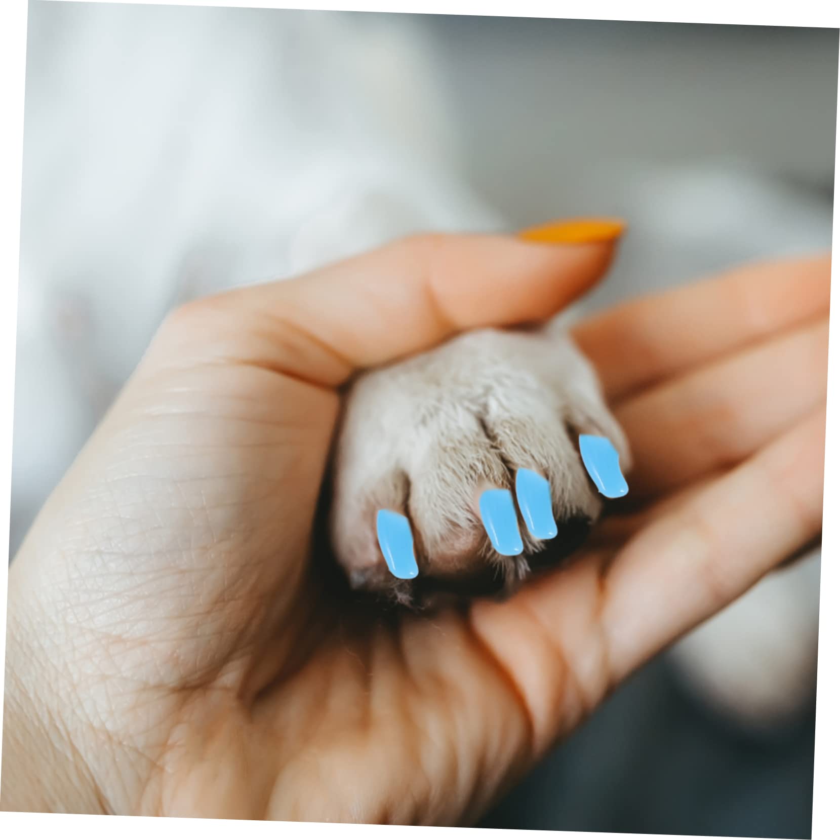 Angoily 30 Juegos De Kit De Uñas para Gatos Pegamento para Ropa Tapas Protectoras para Uñas Protectores De Garras De Gato para Gatitos Tapas De Uñas De Silicona para Gatos Cuidado De