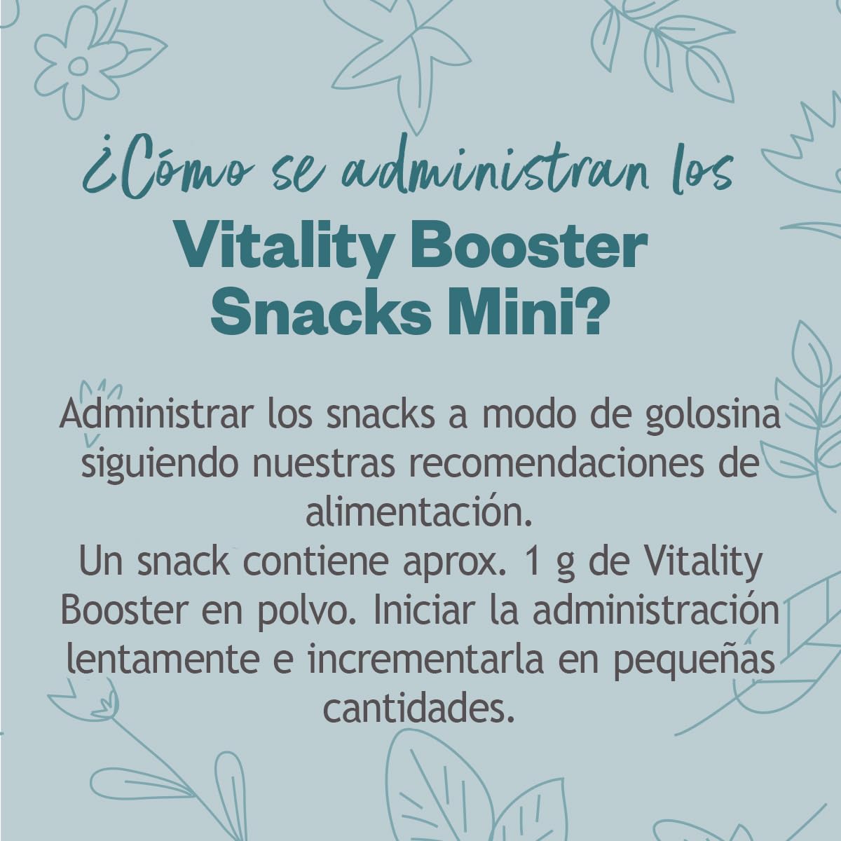 GRAU – el Original – Hokamix Vitality Booster Snack Mini, Paquete de 1 (1 x 4,5 kg), alimento complementario para Perros